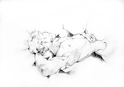 liegender Akt, ca. 40 x 60 cm, Tintenstift auf Papier