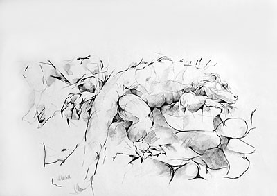 Tierzeichnung, ca. 40 x 60 cm, Bleistift auf Papier